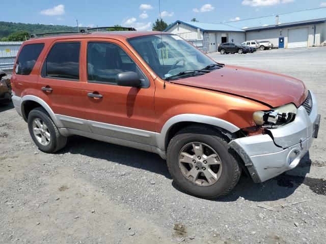 2007 Ford Escape XLT