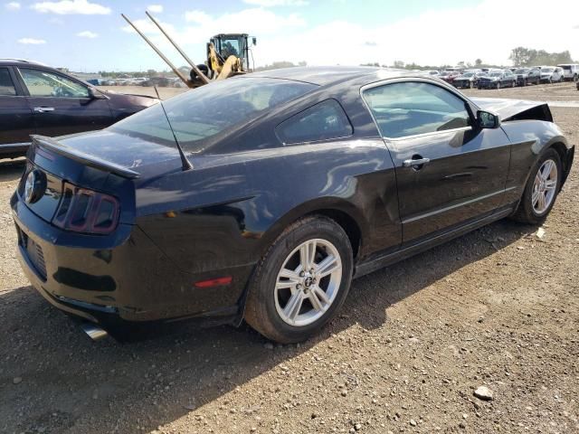 2013 Ford Mustang