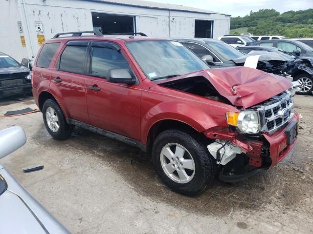 2012 Ford Escape XLT