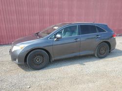 Salvage cars for sale at London, ON auction: 2010 Toyota Venza