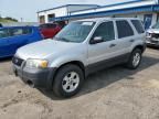 2006 Ford Escape XLT