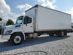 Salvage trucks for sale at Greenwood, NE auction: 2019 Hino 258 268