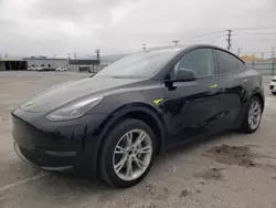 Salvage cars for sale at Sun Valley, CA auction: 2024 Tesla Model Y