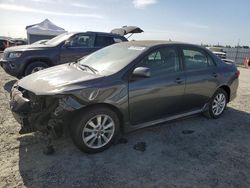 Vehiculos salvage en venta de Copart Antelope, CA: 2010 Toyota Corolla Base