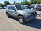 2006 Ford Escape XLT