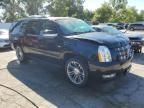 2013 Cadillac Escalade ESV Premium