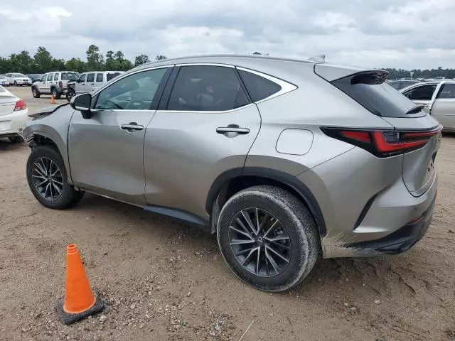 2023 Lexus NX 350