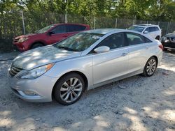 Salvage cars for sale at Cicero, IN auction: 2013 Hyundai Sonata SE