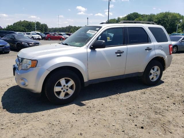 2012 Ford Escape XLT