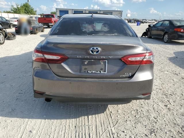 2019 Toyota Camry Hybrid