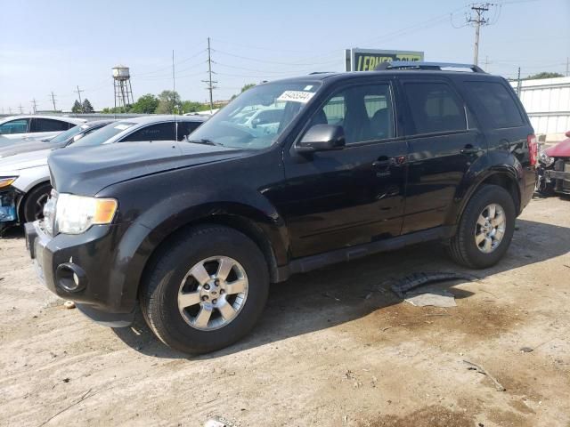 2011 Ford Escape Limited