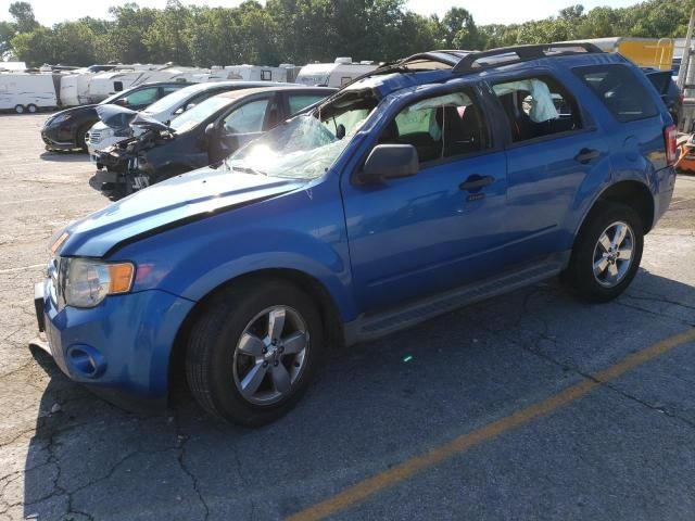 2011 Ford Escape XLT