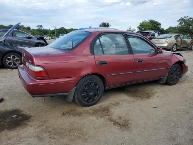 1997 Toyota Corolla DX