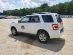 2008 Ford Escape HEV