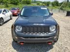 2017 Jeep Renegade Trailhawk