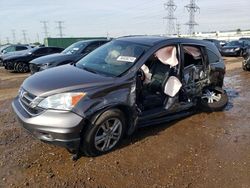 Salvage cars for sale at Elgin, IL auction: 2010 Honda CR-V EXL