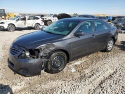 Toyota salvage cars for sale: 2010 Toyota Camry Base