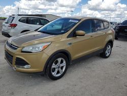 Salvage cars for sale at Temple, TX auction: 2014 Ford Escape SE