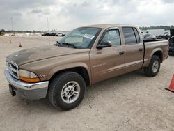 Salvage trucks for sale at Houston, TX auction: 2000 Dodge Dakota Quattro