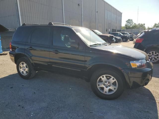 2007 Ford Escape Limited