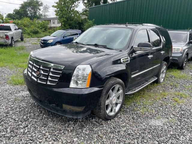 2013 Cadillac Escalade Hybrid