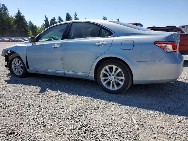 2010 Lexus ES 350