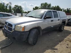 Salvage cars for sale at Baltimore, MD auction: 2005 Dodge Dakota Quattro