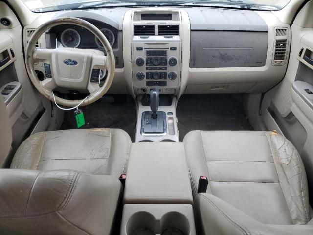 2009 Ford Escape XLT