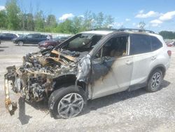 Salvage cars for sale at Leroy, NY auction: 2023 Subaru Forester Premium