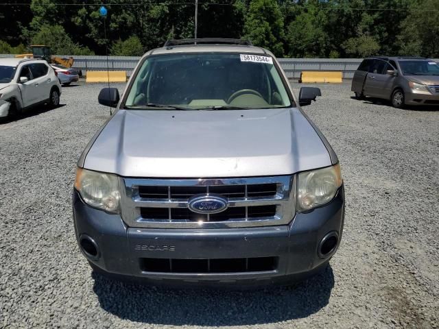 2010 Ford Escape XLT