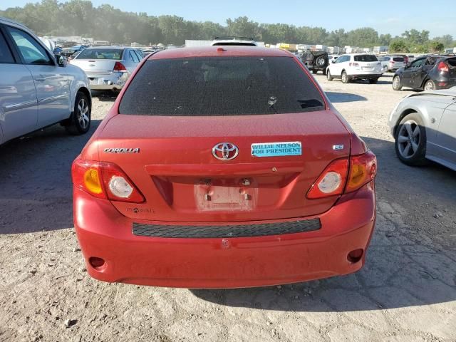 2010 Toyota Corolla Base