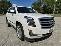 Cadillac Vehiculos salvage en venta: 2016 Cadillac Escalade Premium