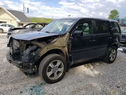 Honda Pilot EXL Vehiculos salvage en venta: 2014 Honda Pilot EXL