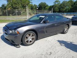 Salvage cars for sale from Copart Fort Pierce, FL: 2014 Dodge Charger R/T