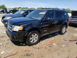 Salvage cars for sale at Louisville, KY auction: 2008 Ford Escape Limited