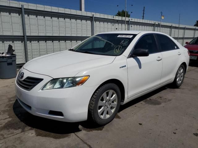 2009 Toyota Camry Hybrid