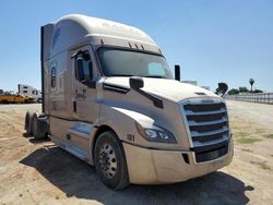 Salvage trucks for sale at Fresno, CA auction: 2019 Freightliner Cascadia 126