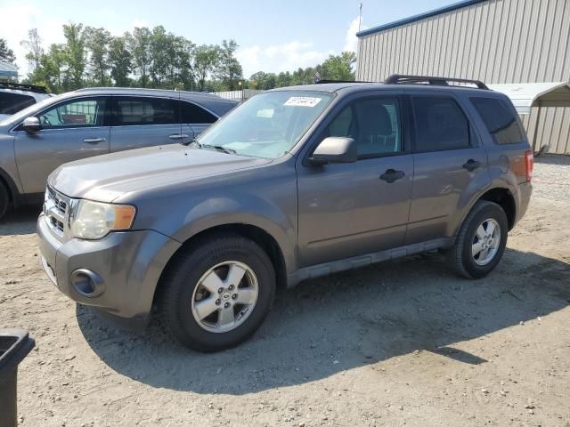 2010 Ford Escape XLS