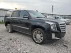 2019 Cadillac Escalade Platinum