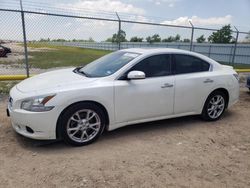 Salvage cars for sale at Houston, TX auction: 2013 Nissan Maxima S