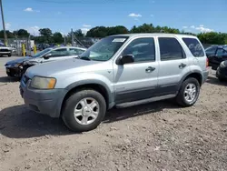 Ford Vehiculos salvage en venta: 2002 Ford Escape XLT