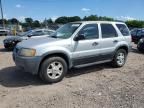 2002 Ford Escape XLT