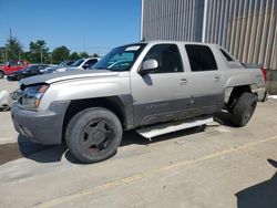 Salvage cars for sale from Copart Lawrenceburg, KY: 2004 Chevrolet Avalanche K1500