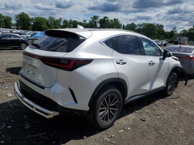 2023 Lexus NX 350