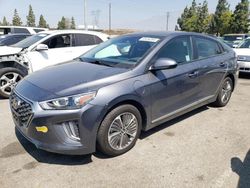 Salvage cars for sale at Rancho Cucamonga, CA auction: 2020 Hyundai Ioniq SE