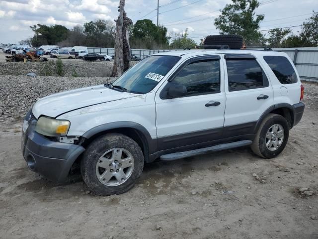 2006 Ford Escape XLT