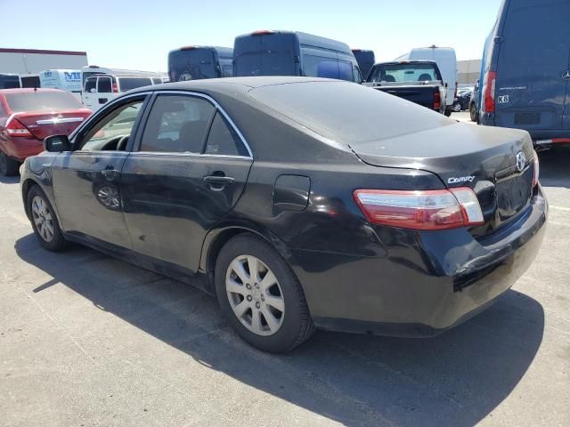 2008 Toyota Camry Hybrid