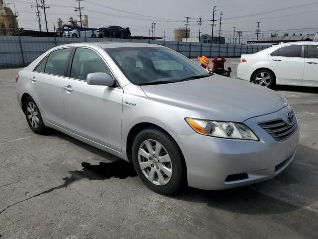 2009 Toyota Camry Hybrid