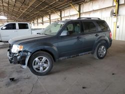 Ford salvage cars for sale: 2010 Ford Escape XLT