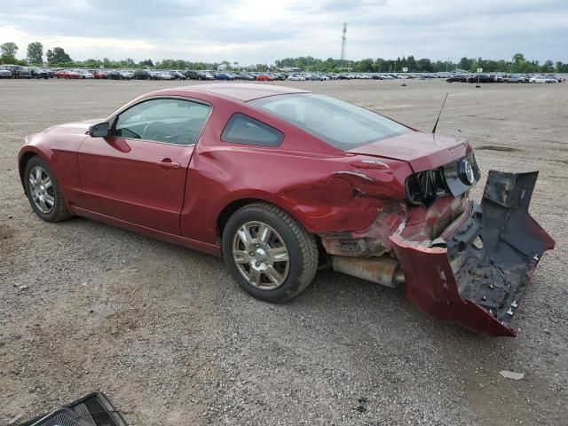 2014 Ford Mustang